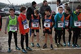 IMG 4321