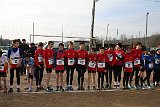 IMG 4324