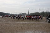 IMG 4336
