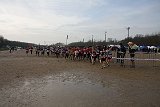 IMG 4337