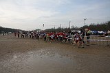 IMG 4338