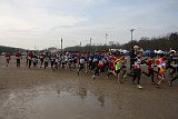 IMG 4340