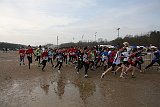 IMG 4341