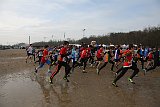 IMG 4342