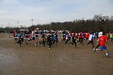 IMG 4345