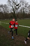 IMG 4354