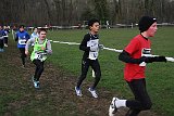 IMG 4390