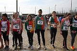 IMG 4554