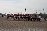 IMG 4558