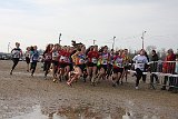 IMG 4561