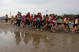 IMG 4564