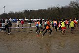 IMG 4565