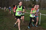 IMG 4582