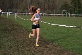 IMG 4586