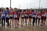 IMG 4698
