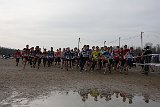 IMG 4711