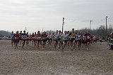 IMG 4912