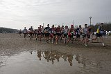 IMG 4914
