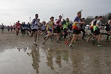 IMG 4916
