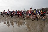 IMG 4919
