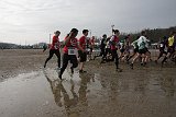 IMG 4923