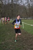 IMG 4931