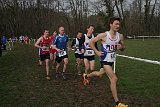 IMG 4956