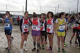 IMG 5310