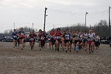 IMG 5317