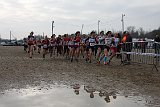 IMG 5318