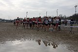 IMG 5319