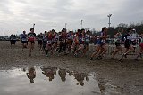 IMG 5321