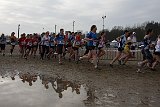 IMG 5324