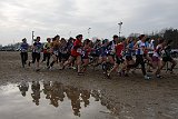 IMG 5326