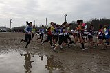 IMG 5329