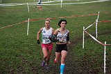 IMG 5331