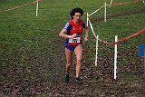 IMG 5334