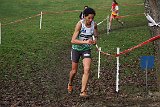 IMG 5336