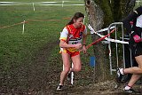 IMG 5338