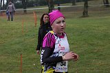IMG 6032