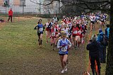IMG 6039