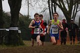 IMG 6131