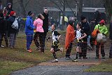 IMG 6137