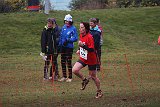 IMG 6041
