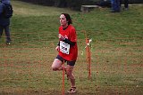IMG 6042