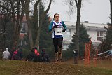 IMG 6055