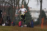IMG 6061