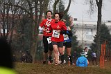 IMG 6066