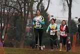 IMG 6072