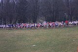 IMG 6277